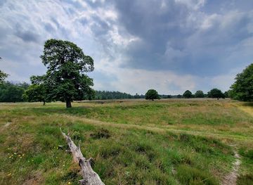 netherlands/drenthe/attraction/natuurgebied-groote-zand-hooghalen