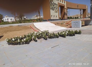 egypt/ras-muhammad-national-park/attraction/al-nafura