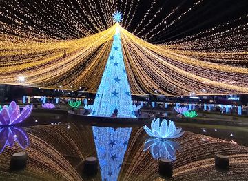 colombia/coffee-axis/attraction/el-lago-park