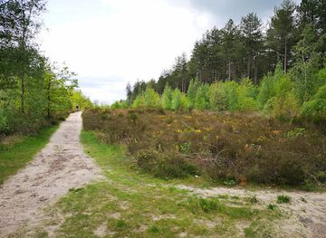 belgium/hoge-kempen-national-park/attraction/oudsberg