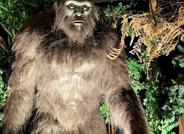 North American Bigfoot Center