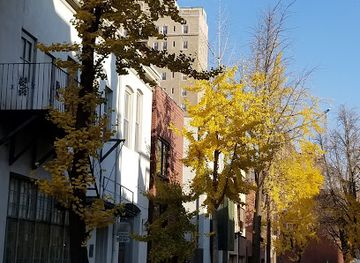 pennsylvania/southeastern-pennsylvania/attraction/the-rosenbach