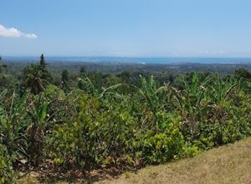 sao-tome-and-principe/praia-piscina/attraction/roca-gratidao
