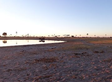 zimbabwe/hwange-national-park/attraction/waterhole-hwange-national-park