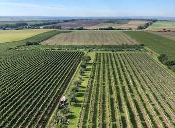 czechia/south-moravia/attraction/lookout-na-podluzi-u-noveho-poddvorova