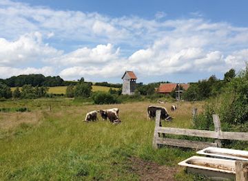 germany/holstein/attraction/museum-turmhugelburg-luetjenburg