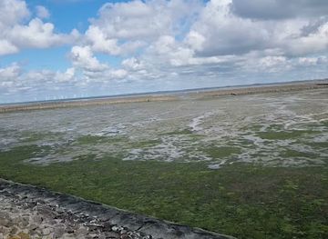 germany/north-frisia/attraction/vogelkoje