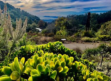 california/berkeley/attraction/regional-parks-botanic-garden