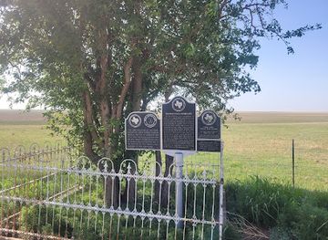 texas/panhandle/attraction/first-tree-of-the-texas-panhandle