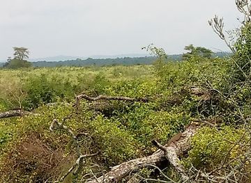 uganda/queen-elizabeth-national-park/attraction/queen-elizabeth-national-game-park