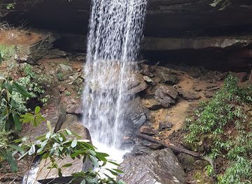 kentucky/daniel-boone-national-forest/attraction/cane-creek-wma