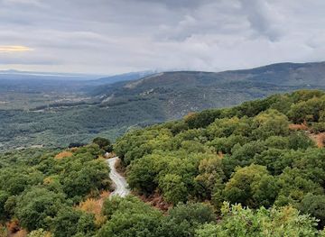 greece/thrace/attraction/forest-of-nymphaia