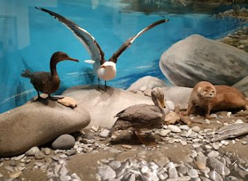 argentina/atlantic-patagonia/attraction/francisco-moreno-museum-of-patagonia