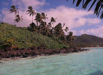 cook-islands/rarotonga/attraction/takitumu-conservation-area