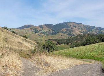 california/walnut-creek/attraction/memorial-bench