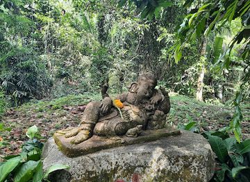 thailand/similan-islands/attraction/phang-nga-elephant-park