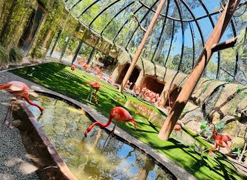 california/sacramento/attraction/sacramento-zoo