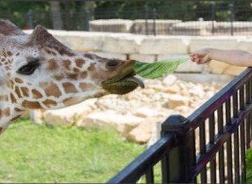illinois/corn-belt/attraction/niabi-zoo