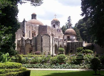 mexico/mexico-city/attraction/desierto-de-los-leones