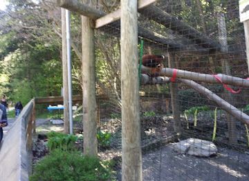 new-york/southern-tier/attraction/ross-park-zoo