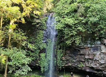 australia/new-england/attraction/crystal-shower-falls