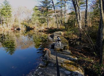 connecticut/mohawk-mountain-ski-area/attraction/white-memorial-mattatuck-trail