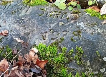 slovakia/mala-fatra-national-park/attraction/janosikove-hodiny
