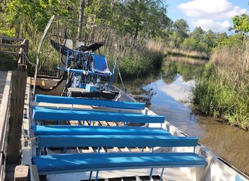 texas/gulf-coast/attraction/gulf-coast-gator-ranch-tours