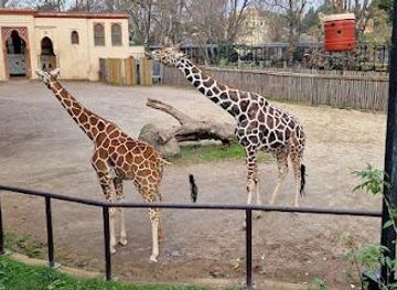 vatican-city/apostolic-palace/attraction/bioparco-di-roma