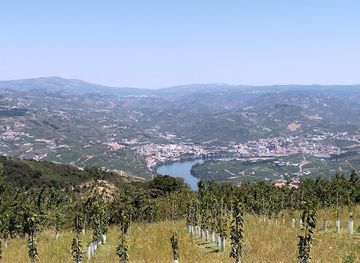 portugal/lamego/attraction/baloico-da-associacao-desportiva-de-avoes