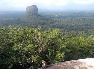 sri-lanka/puttalam-district/attraction/pidurangala-rock-temple-ticket-office-lkr-1000-00-per-tourists-person