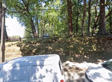 chile/los-rios-region/attraction/maqueta-ciudad-fungi-marasmiellus-alliiodorus