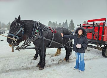 washington/leavenworth/attraction/icicle-outfitters-guides-inc-winter-location