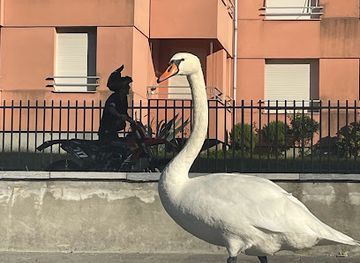 italy/brianza/attraction/spiaggia-di-vercurago