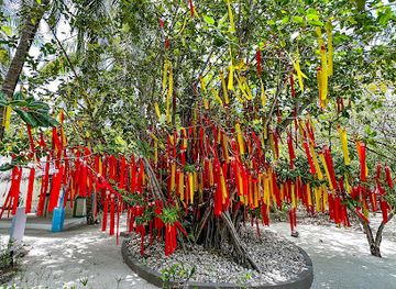 maldives/dhangethi-island/attraction/tree-of-wishes