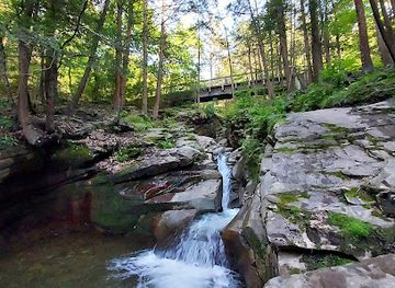 pennsylvania/anthracite-coal-region/attraction/seven-tubs-recreation-area-pinchot-forest-district