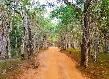 Wilpattu National Park