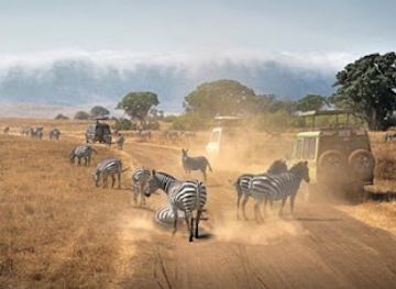 tanzania/northern-zone/attraction/moorland-safaris-trekking