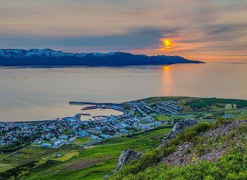 iceland/husavik-area/attraction/husavik-adventures