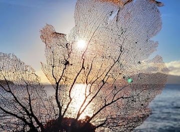british-virgin-islands/jost-van-dyke/attraction/dead-chest-national-park