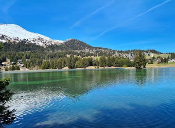 switzerland/lenzerheide/attraction/eichhornchenwald