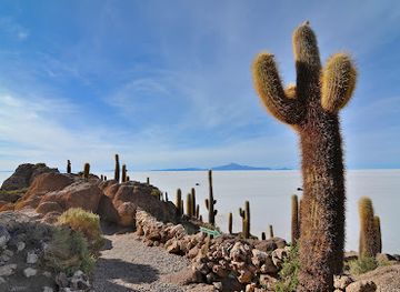bolivia/altiplano/attraction/uyuni-salt-lake