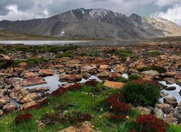 pakistan/deosai-national-park/attraction/bari-la-top
