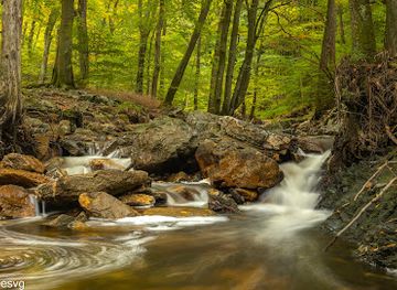 belgium/hautes-fagnes/attraction/la-statte-ruisseau