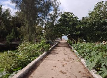 kenya/malindi/attraction/butwani-bridge