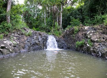 madagascar/atsinanana/attraction/source