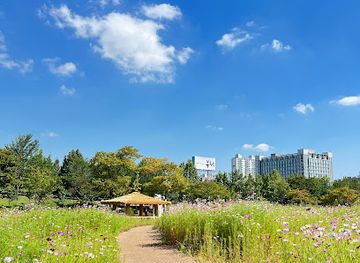 south-korea/honam-region/attraction/sangdong-lake-park