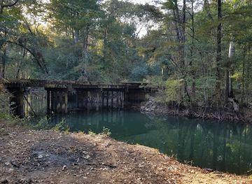 florida/florida-caverns-state-park/attraction/chipola-river-wildlife-management-area