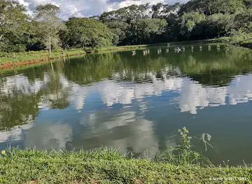 Pantanal Experiência