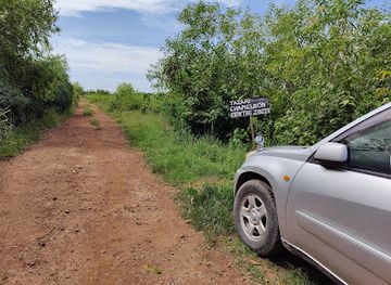 tanzania/zanzibar-island/attraction/tazari-chameleon-reserve